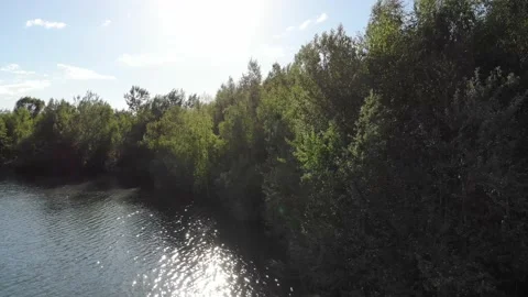 Drone by Lake Action Video stock 176461931