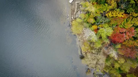 Drone Lake Forest Fall Stock Footage 273710287