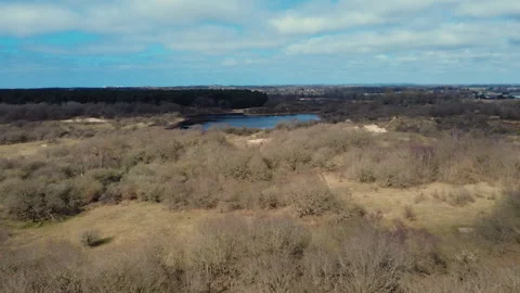 Drone in lake with tilt down Stock Footage 305480632
