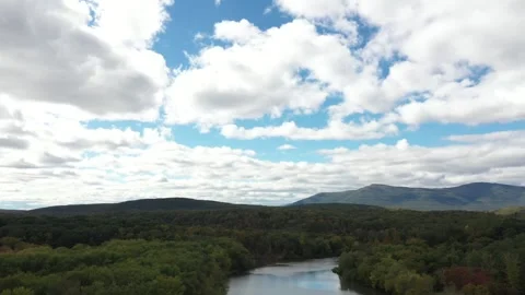 Drone Lake Treetops Video stock 269441019