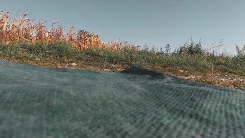 Drone landing after a long flight over golden corn fields. Footage 4K. Stock Footage 147882365