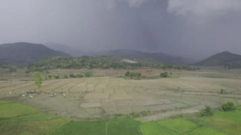 Drone landing Video stock 238610051