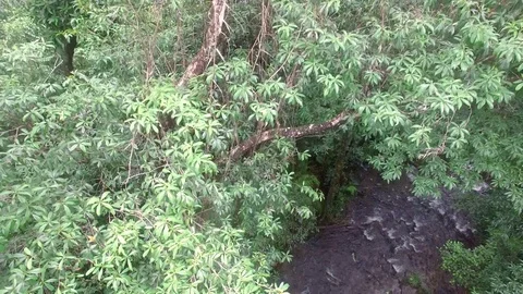 A drone landing on a mountain stream Stock Footage 80216816
