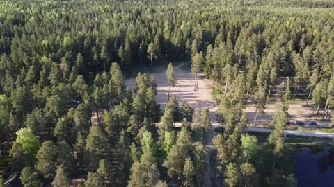 Drone Landing in a Pine Forest near the Lake Stock Footage