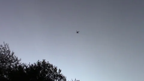 Drone Landing Sun Grass Stock Footage 79183938