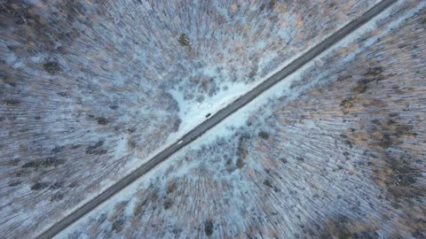 Drone landing view of the road in the forest Stock Footage 234457950