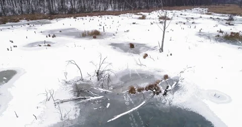 Drone landscape view winter forest panorama Stock Footage 146641579