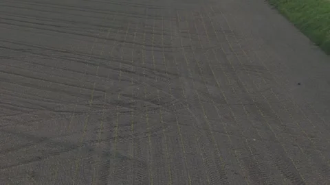 Drone lateral slide above newly planted crop rows in the Po Valley Italy Stock Footage 340604236