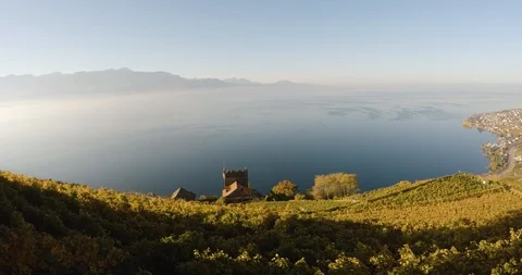 Drone lavaux veyard Stock Footage 102565680