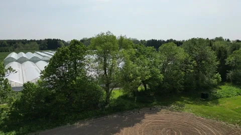 Drone - Left to Right Over Trees Rising Shot of Greenhouses Stock Footage 314228179