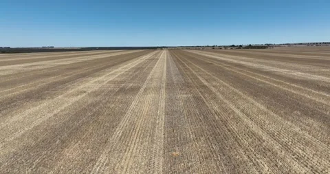 Drone lifting over harvested wheat field Stock Footage 258429774