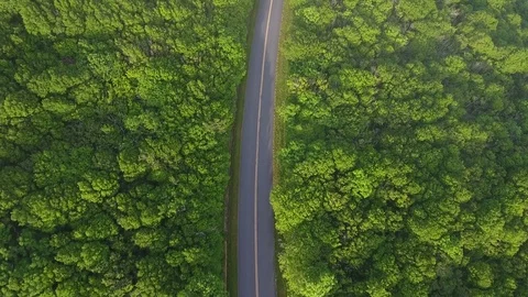 Drone Long Mountain Road Vidéo 82917763