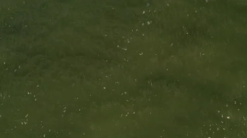 Drone long zoom out over cayuga lake, upstate new york Stock Footage 140101216
