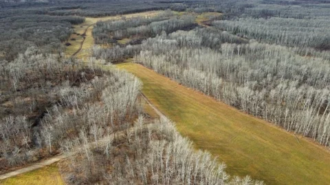 Drone looking down onto late fall fields and a barren looking forest  Stock Footage 220560445