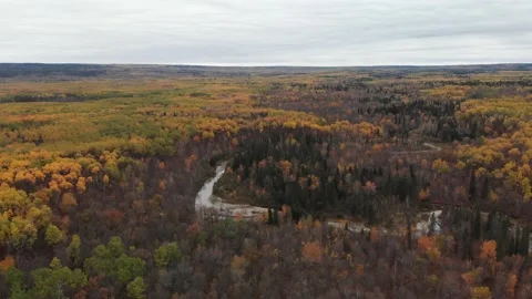 Drone looking down at a small winding river that cuts through a colorful autumn  Stock Footage 221572476
