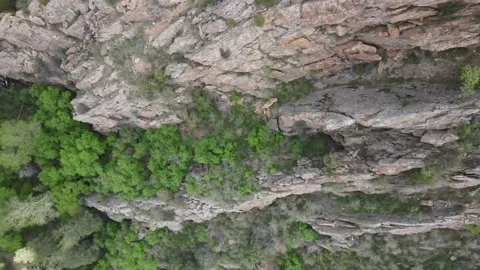 Drone Looking down on trees on the edge of a cliffside Stock Footage 154179551