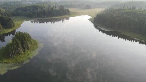 Drone looking down while flying forward over a small calm northern park misty Stock Footage 328171743