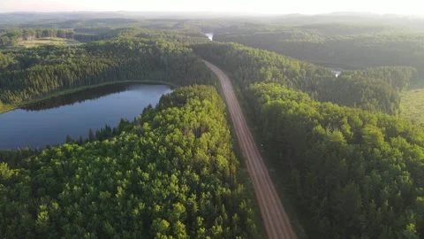 Drone looking down on a winding road through a northern park forest that is lit Stock Footage 336506859