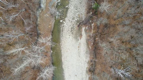 Drone looking straight down at a river and barren looking forest  Stock Footage 220560207