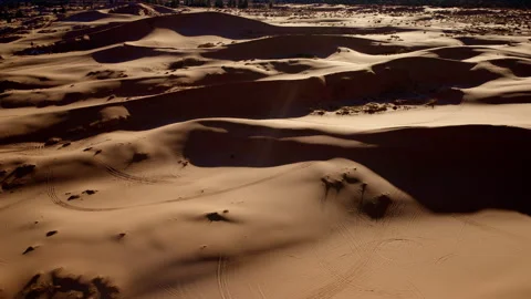 The drone looks directly down on a vibrant patchwork of pink sand dunes in 動画素材 307294567
