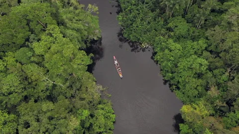 Drone looks down on amazon river with canoe  Stock Footage 232730890