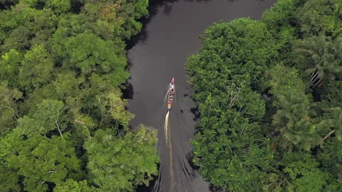 Drone looks down on amazon river with canoe driving along Stock Footage 232731049