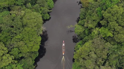 Drone looks down on amazon river with canoe driving along 2 Stock Footage 232731304