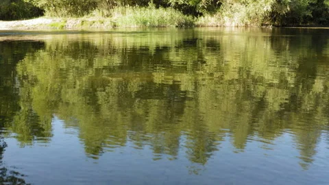 Drone low altitude flight over the small river Vidéo 138815302