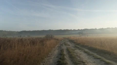 Drone low altitude Stock Footage 163954427