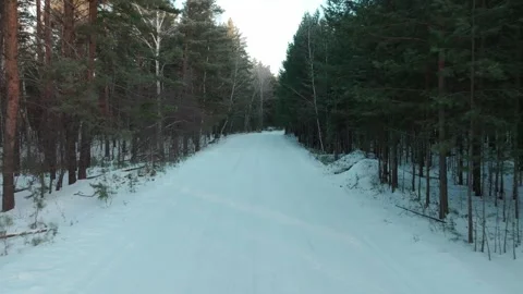 Drone low flight over winter road in a snowy trees on a frosty day. Stock Footage 318512660