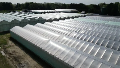Drone - Low Fly Over &amp; Rise of Greenhouses on Sunny Day Stock Footage 314228217