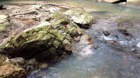 Drone low flying over a clear forest stream with mossy rocks 動画素材 336982751