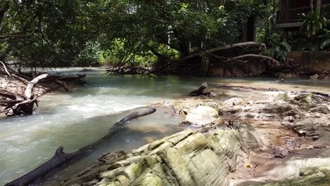Drone low flying over a clear forest stream with mossy rocks. 動画素材 336982792