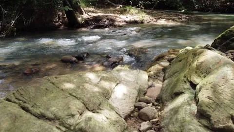 Drone low flying over a clear forest stream with mossy rocks. Vídeos de archivo 336982793