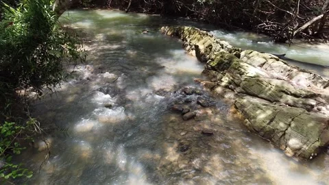 Drone low flying over a clear forest stream with mossy rocks. 動画素材 336982797