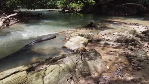 Drone low flying over a clear forest stream with mossy rocks. 動画素材 336982802