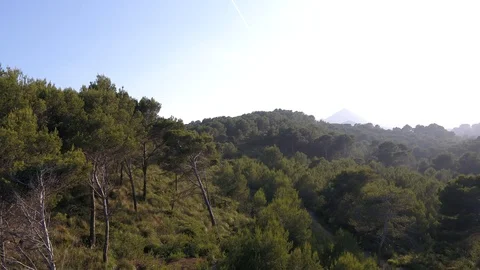 Drone low passing through trees and heading to the mountains during a sunset Stock Footage 101428832