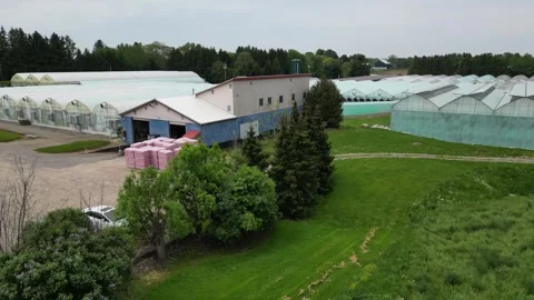 Drone - Low Rise Above Trees Slowly to Reveil Greenhouses Stock Footage 314227404