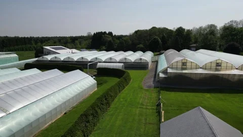 Drone - Low Slow Rising Left to Right Shot of Middle of Greenhouses Stock Footage 314227422