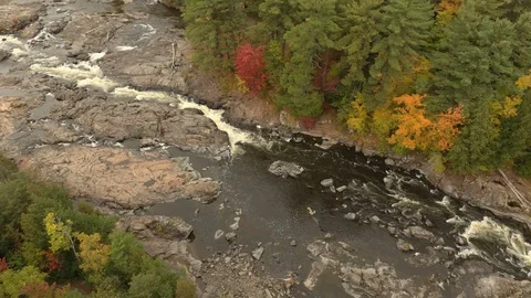Drone lowering and approaching river shore in fall with single red tree Stock Footage 119189064