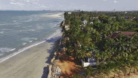 Drone lowers next to palm trees blowing in the wind on Mbezi Beach Stock Footage 342075905