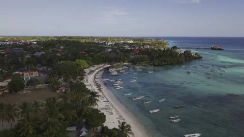 Drone lowers over palm trees next to Dimbani Beach at high tide with dhows Stock-Footage 346485021