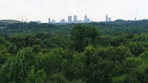 Drone lush city backdrop Stock Footage 92382764