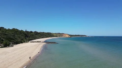Drone of Man and Dog on beach Video stock 286765472