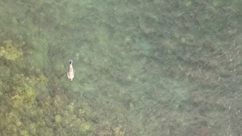 Drone of Man Snorkeling on Reef Stock Footage 171378298