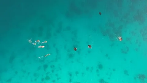 Drone, manta rays and snokellers swimming in turquoise water, Indonesia Stock Footage 131436631