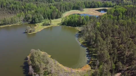 Drone Marsh and two-Color Lake with Green and Blue Water in the Forest Stock Footage 133130257
