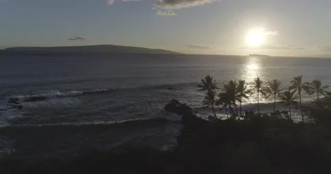 Drone Maui sunset w/ backlit coconut trees and ocean swell Stock Footage 134362485