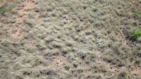 Drone into Mexico Stock-Footage 63443272