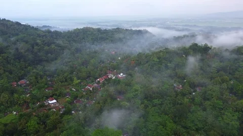 Drone Morning view in countryside Stock Footage 331355498